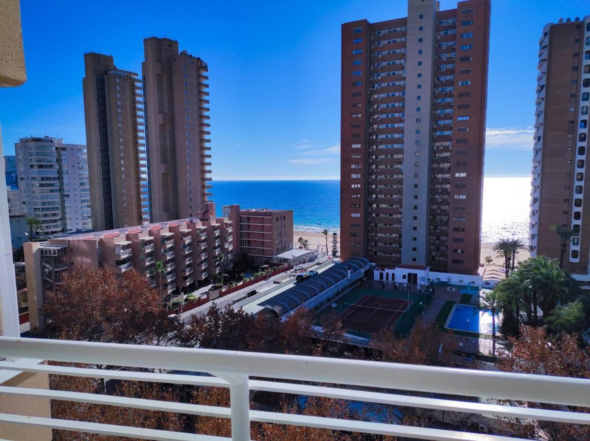 Currus Caballos Benidorm