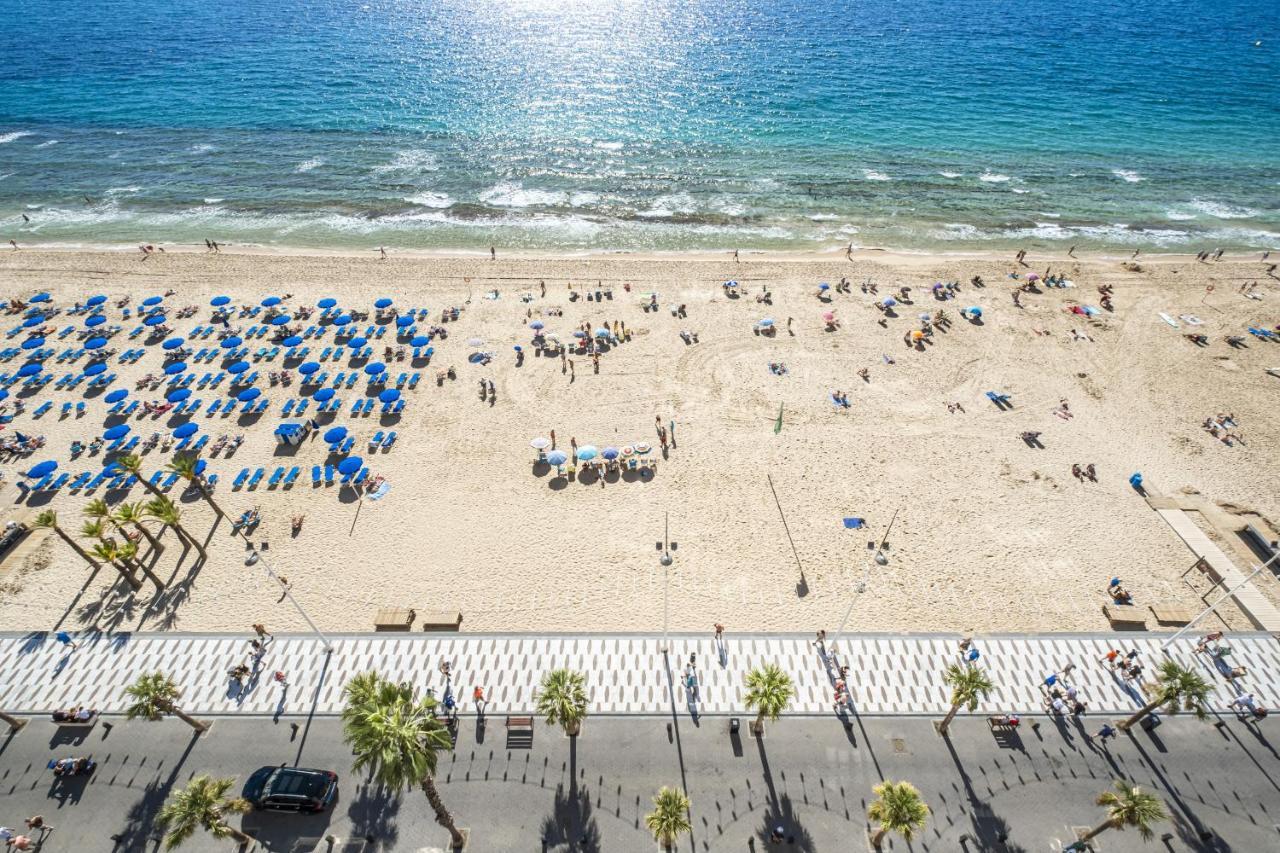 Damas 12-e Levante Appartement *