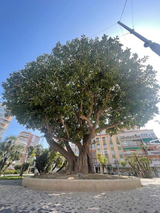 Inmejorable Ubicacion,70m Playa 70m Pueblo Apartment Benidorm