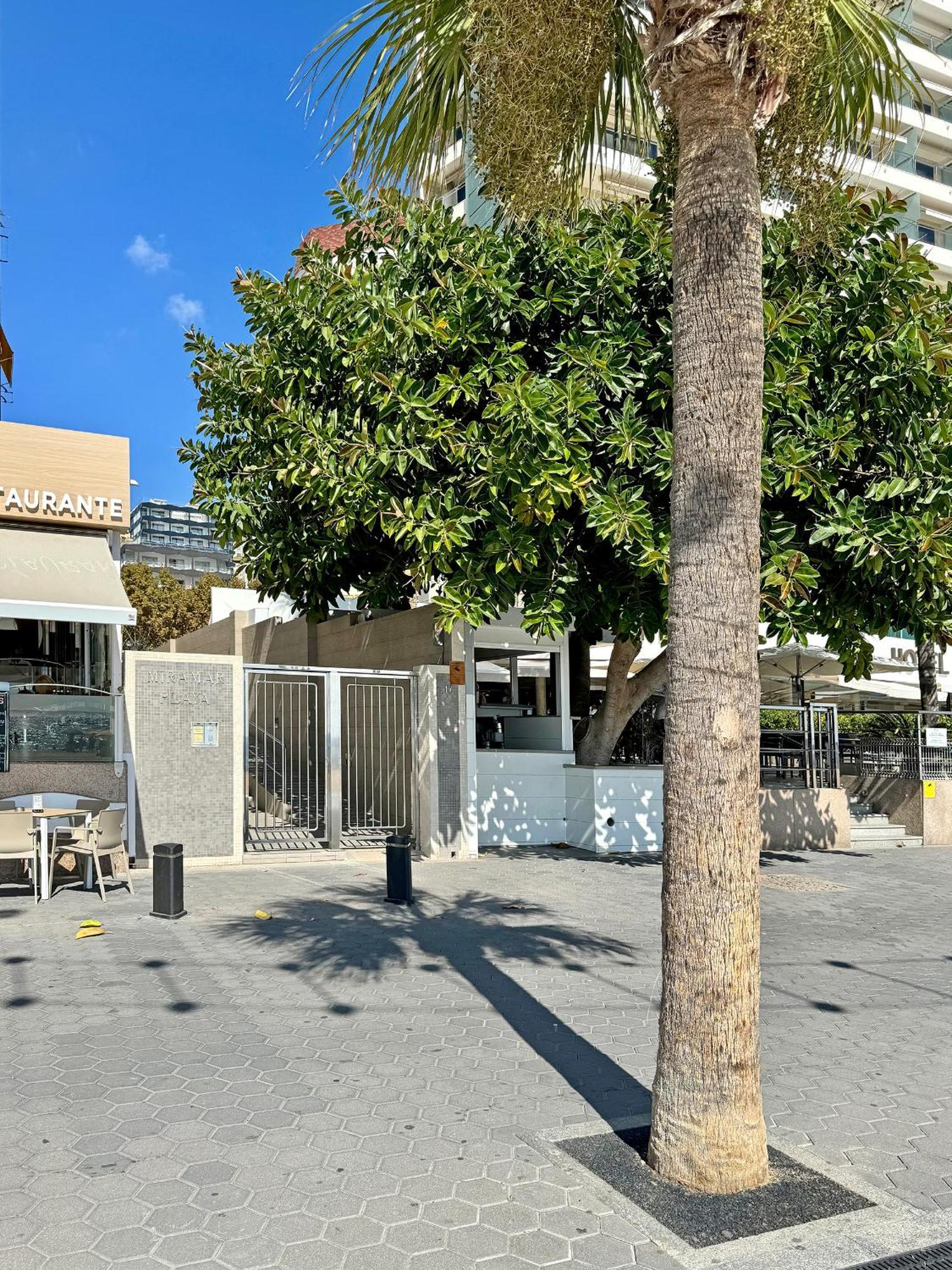Precioso Estudio Frente La Playa * Benidorm