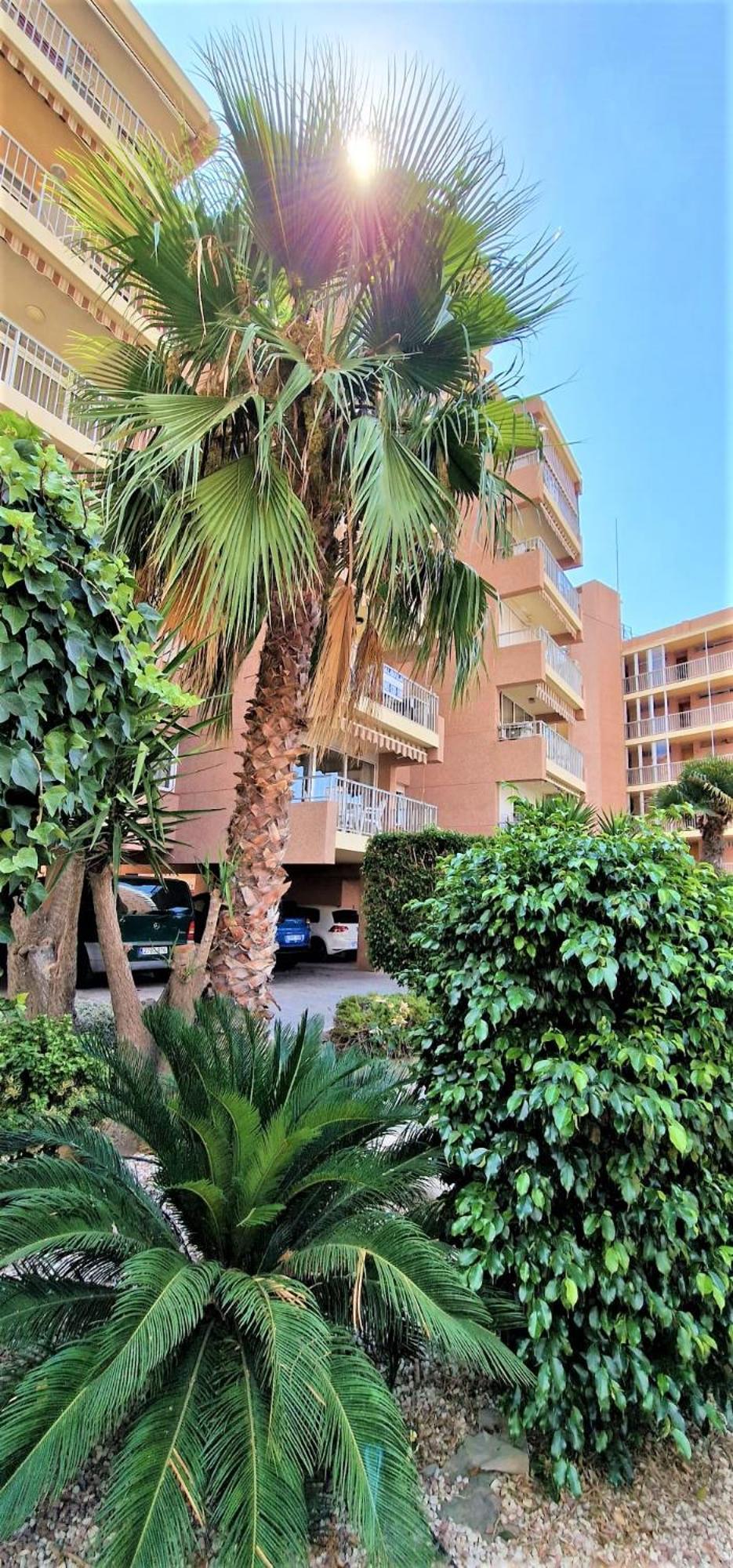 Ranchos, B-3 * Benidorm