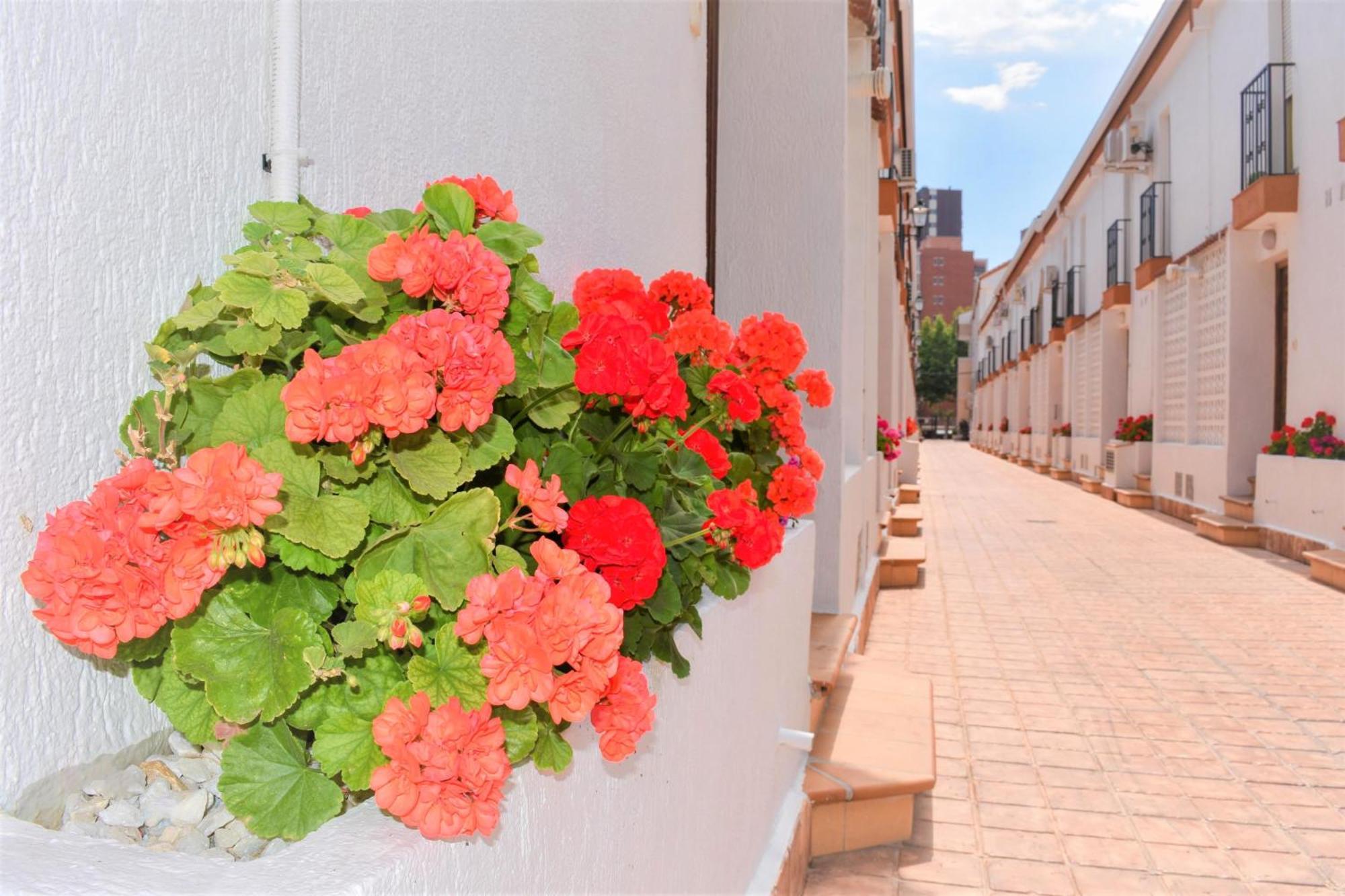 Cozy Bunglow Rinconda Real Holiday home *