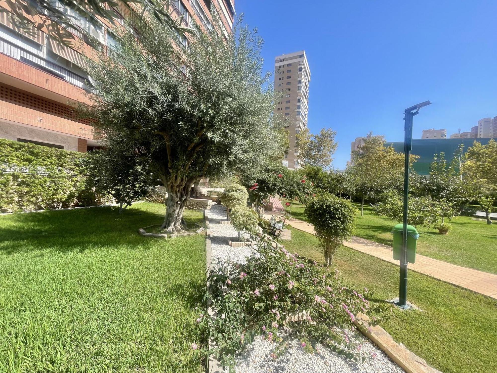 Principado Wifi, Airco, And Garden Apartment