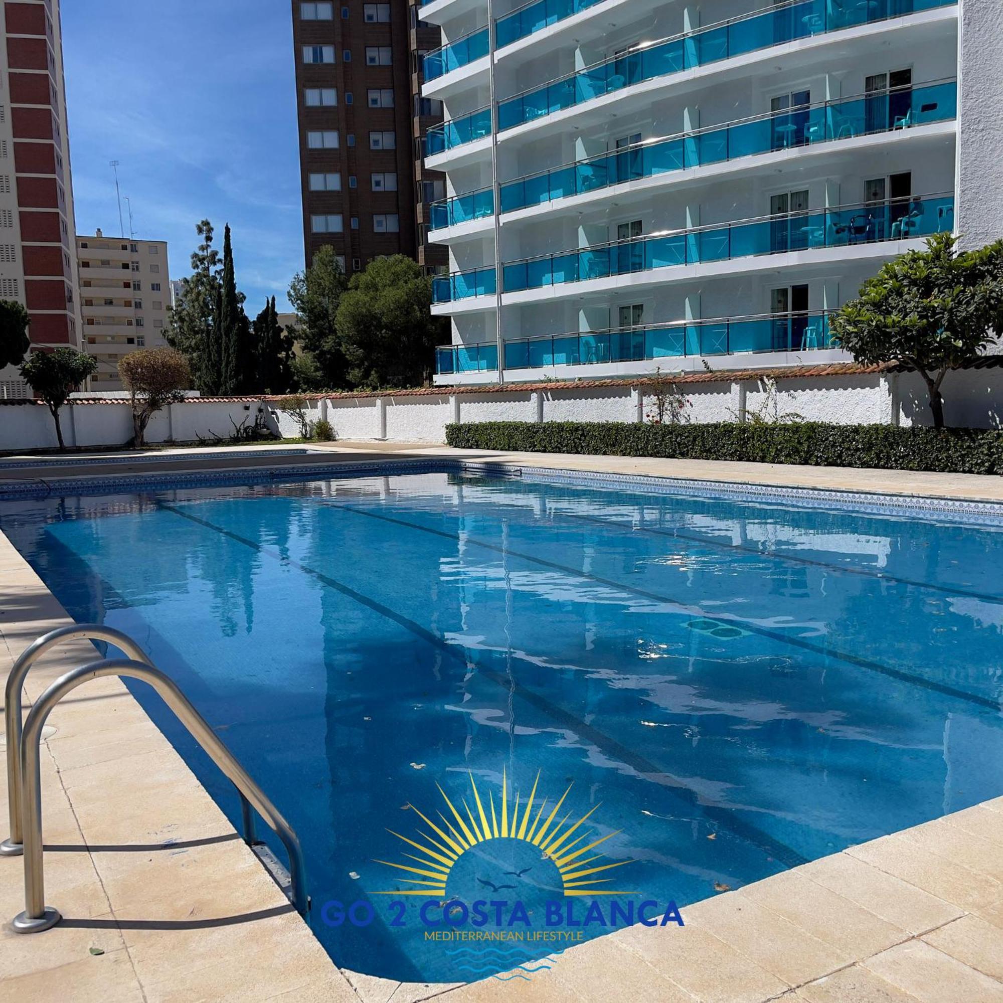Sunflower * Benidorm