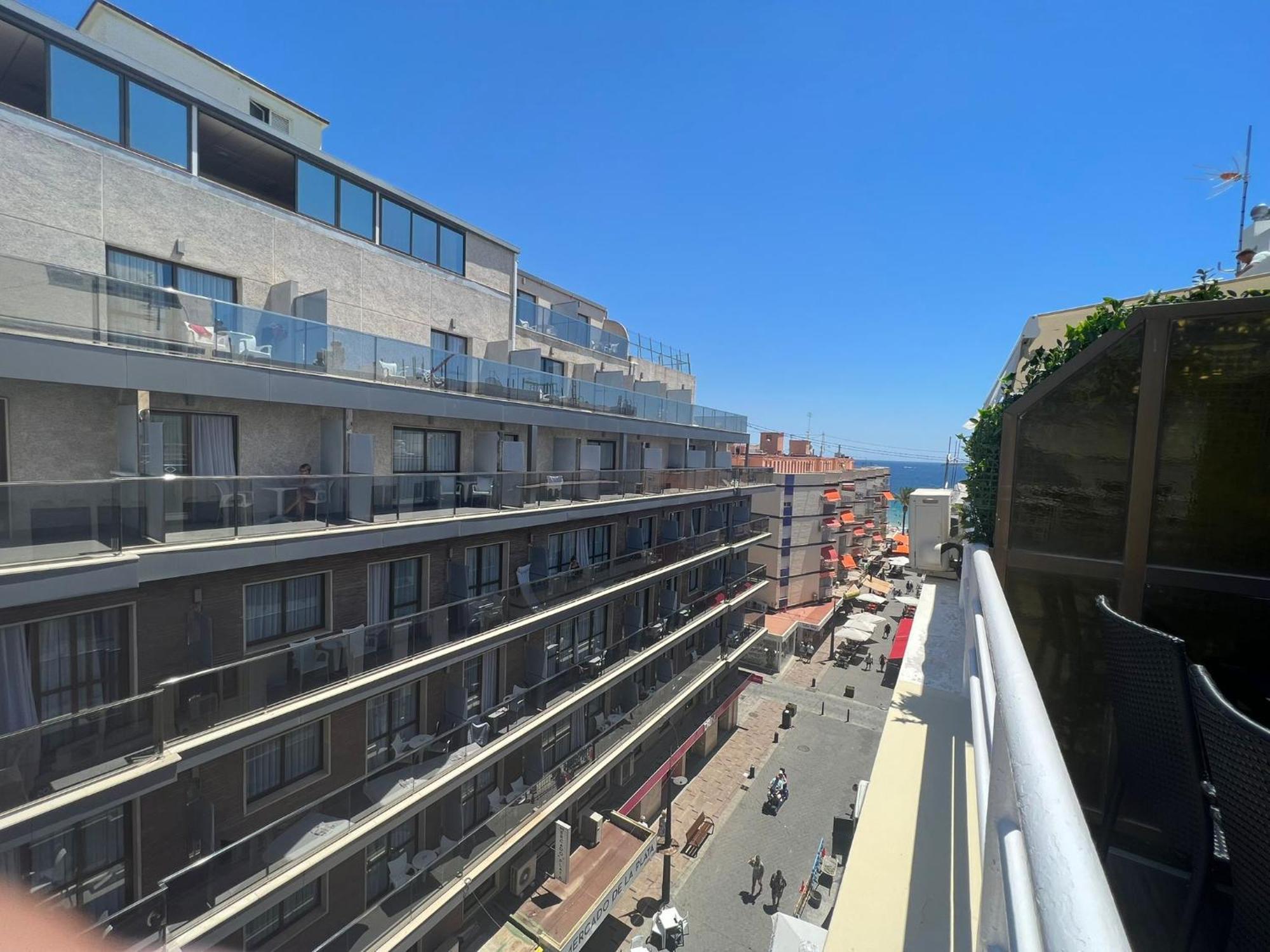 Aurea Pal 8 Y Gran Atenea Esperanto 5 Benidorm