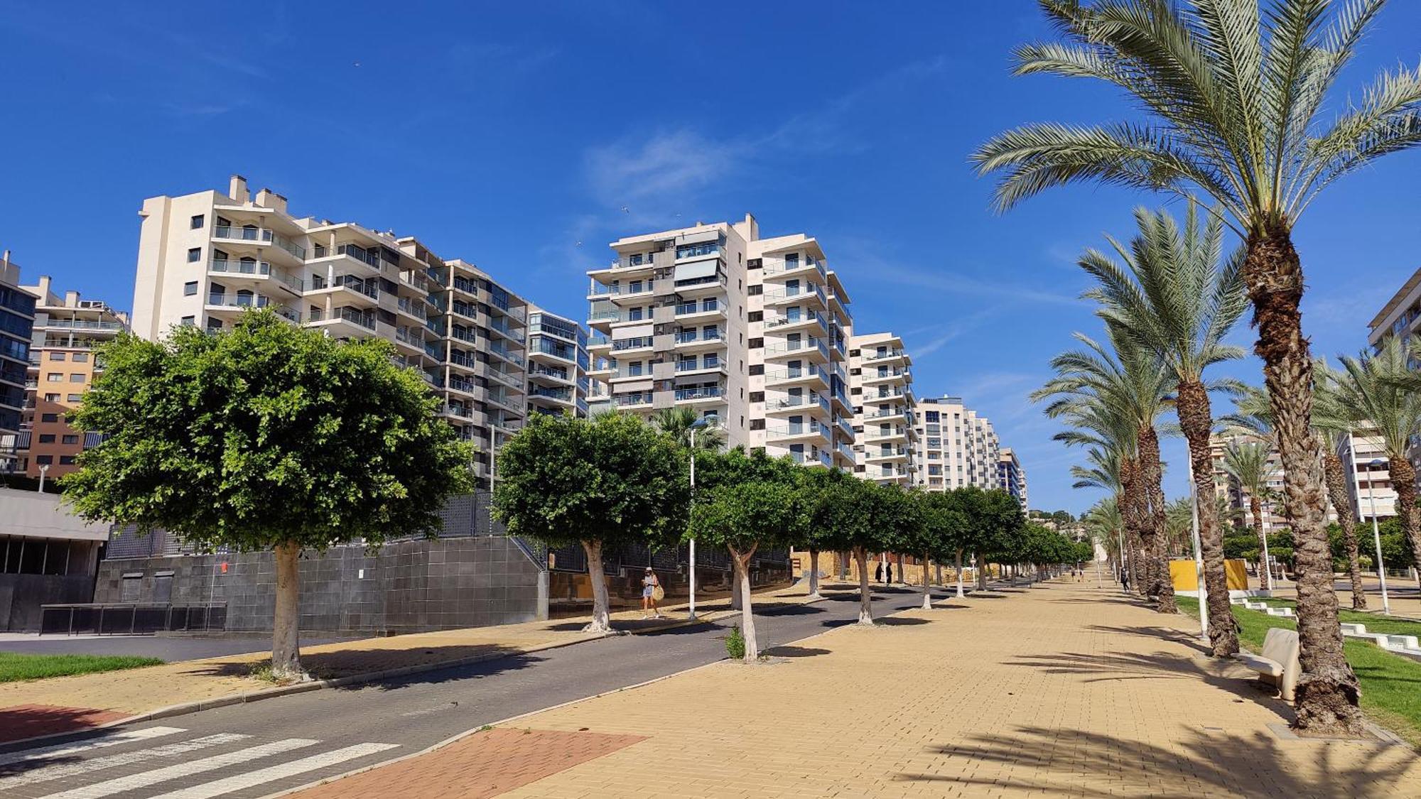 Apartamento Cala Alta Magic *