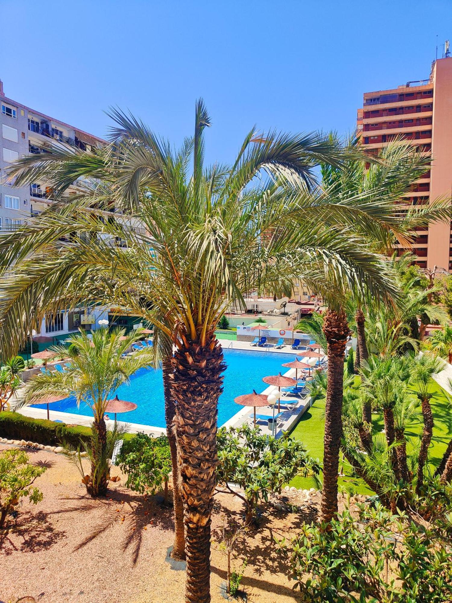 Apartment Versailles 2-9 Benidorm