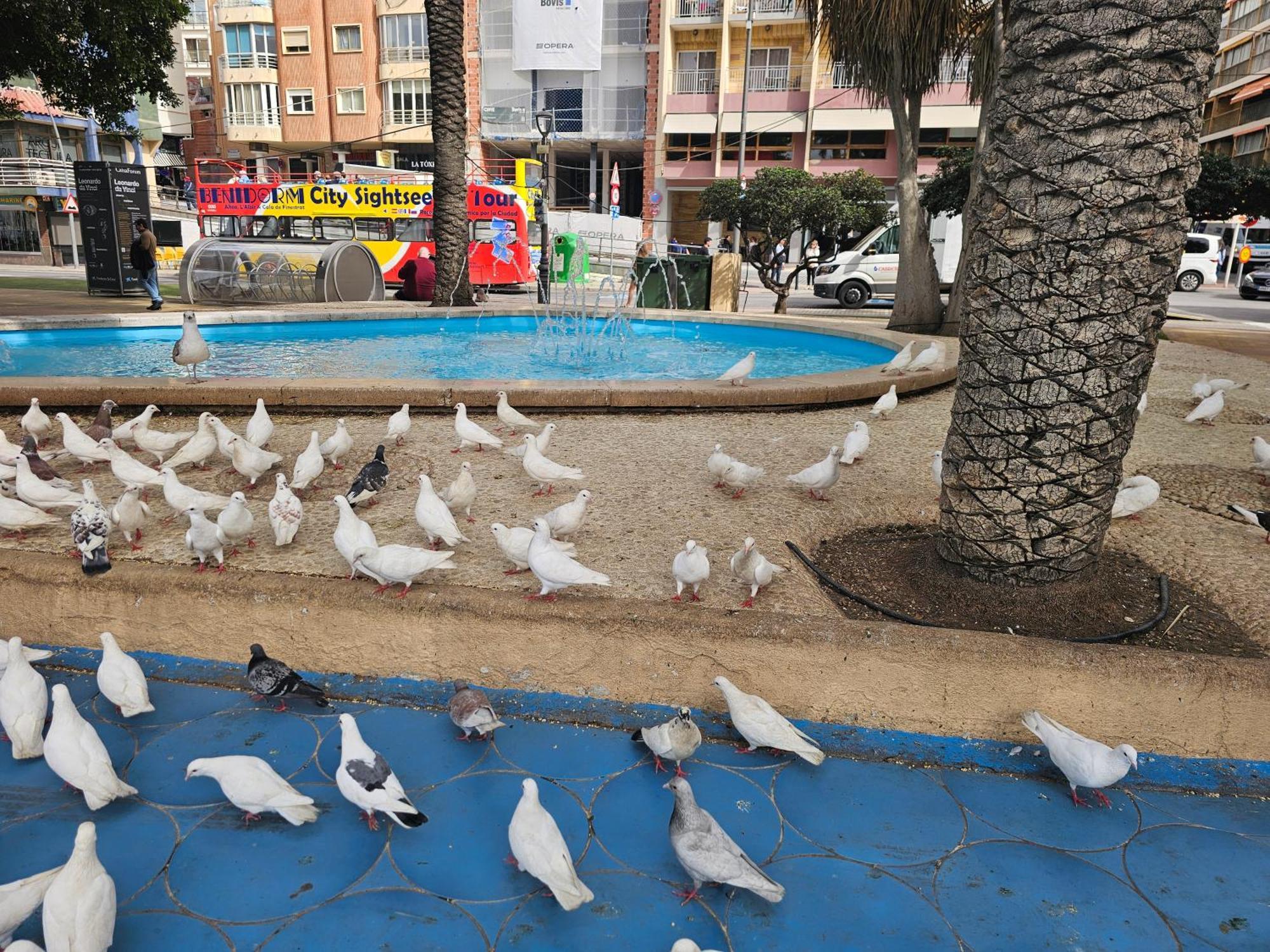 Pescadores If Apartment Benidorm