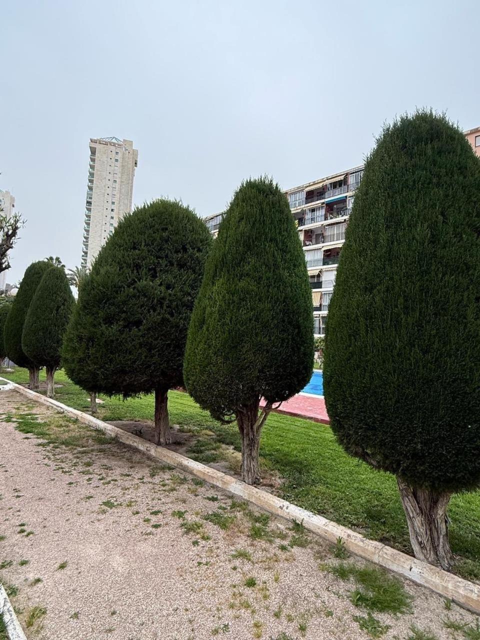 Hannibal 2 * Benidorm