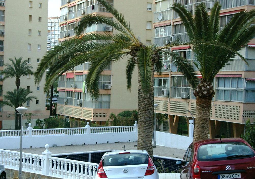 Apartment Don Miguel 1 - Arca Rent *