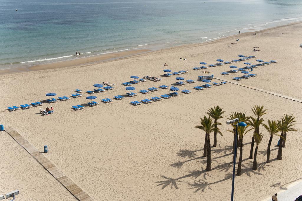 Hotel El Palmeral