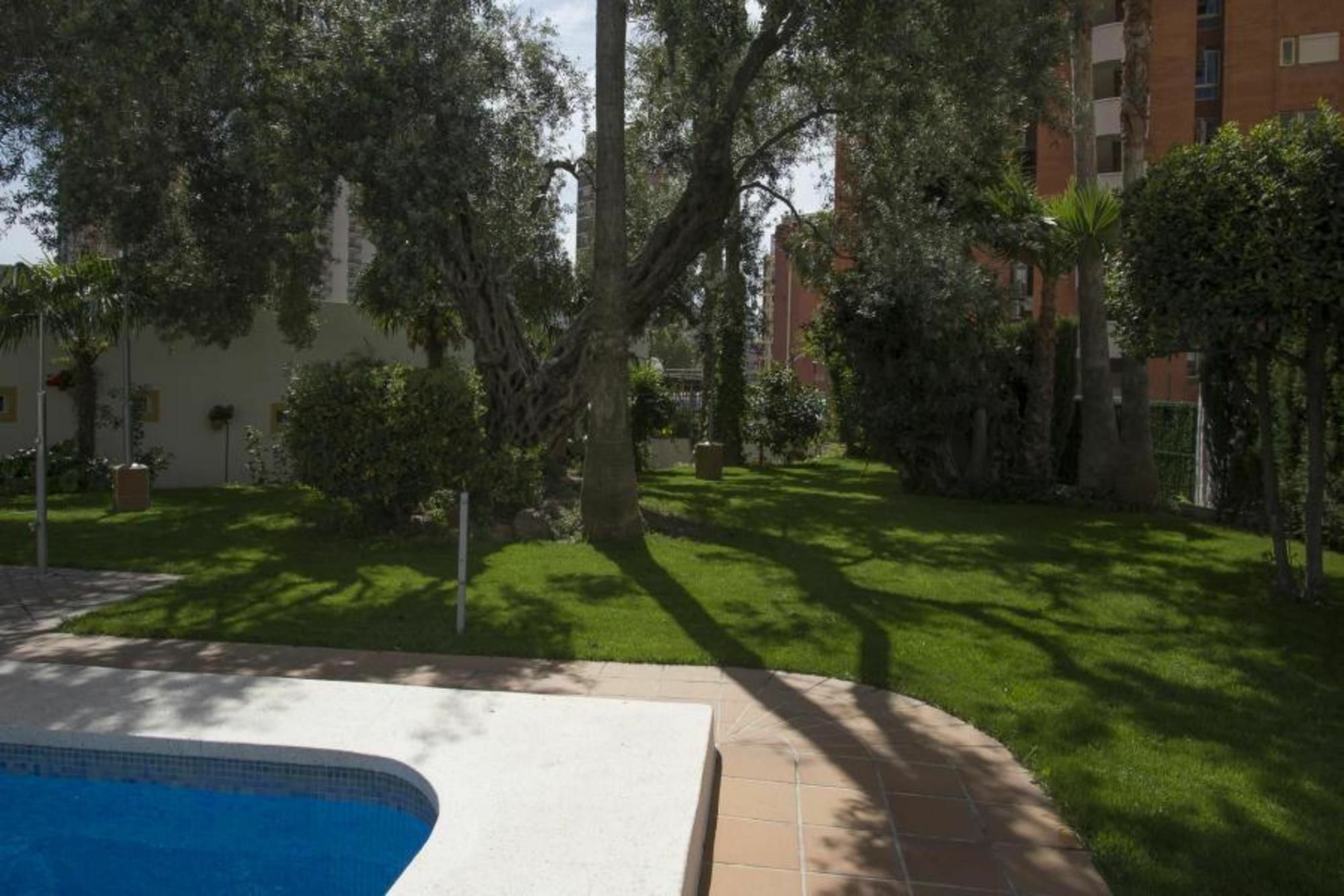 In Benidorm, Alicante 103099 By Mo Appartement Benidorm