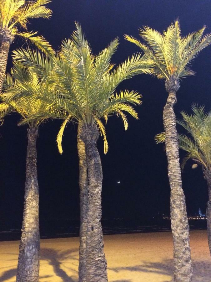 Appartement Levante Penthouse *