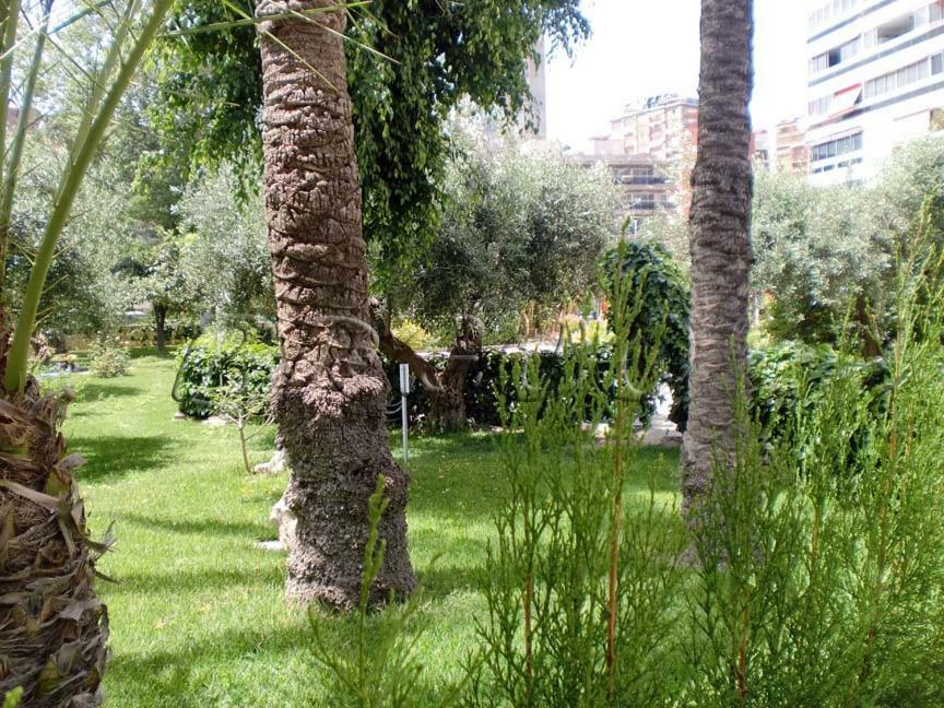 Cervantes Benidorm
