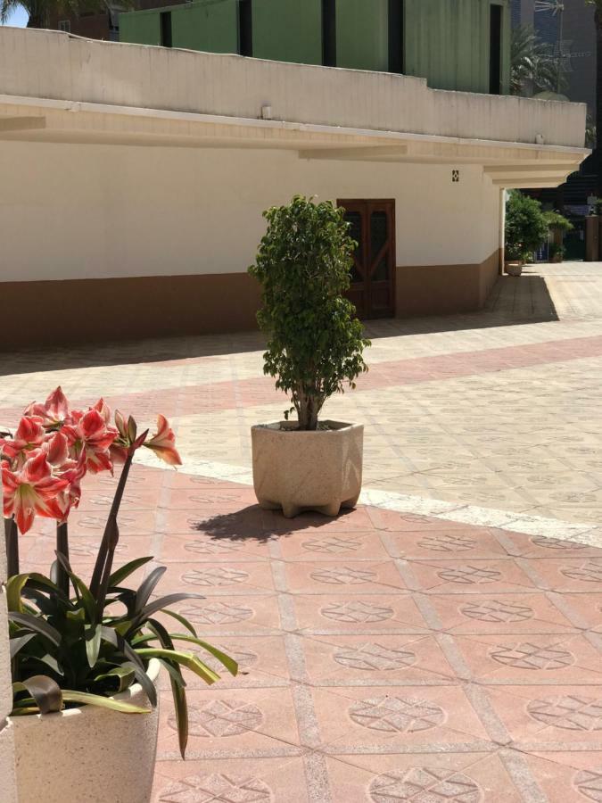 Provima Benidorm