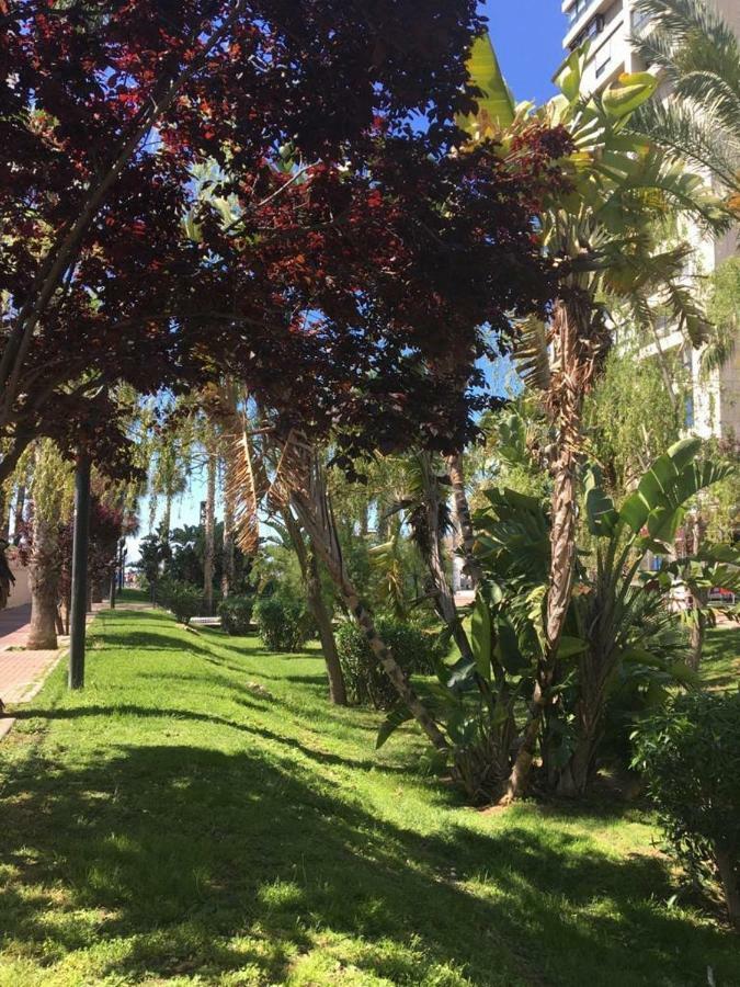 Agua Marina Levante Apartment