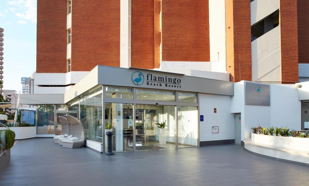 Flamingo - Adults Recommended Aparthotel 4*